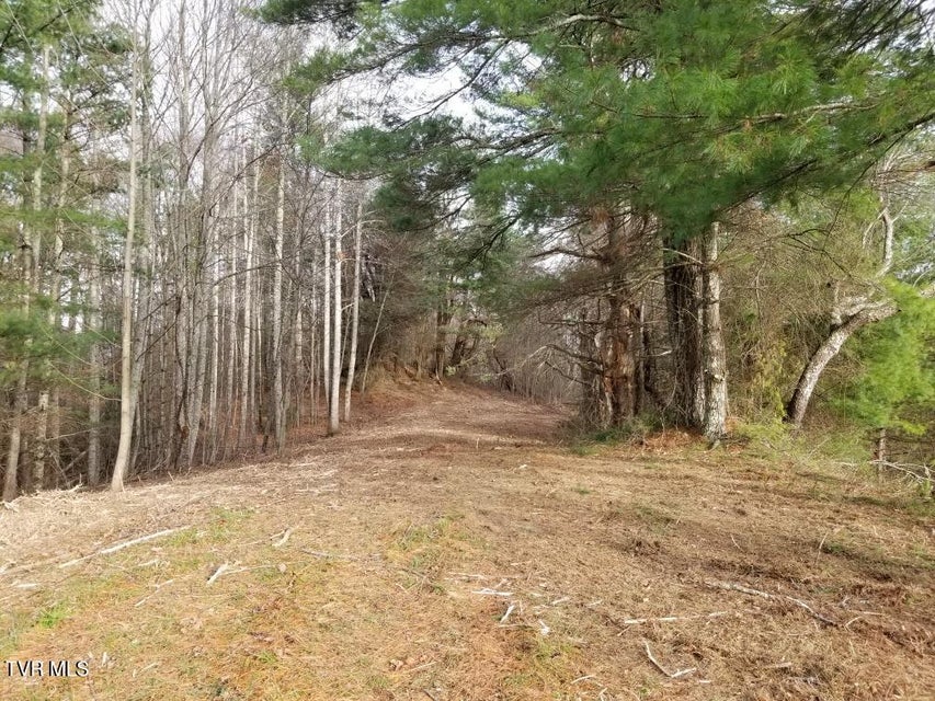 Photo #6: Tbd Bear Branch Road