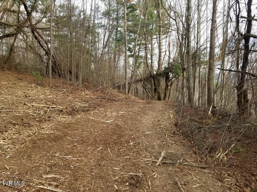 Photo #7: Tbd Bear Branch Road