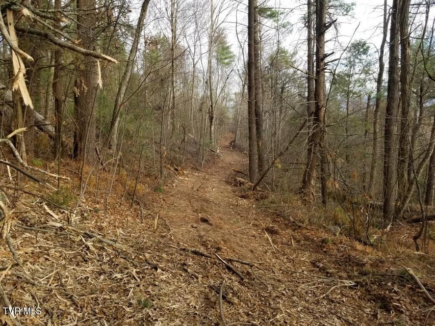 Photo #8: Tbd Bear Branch Road