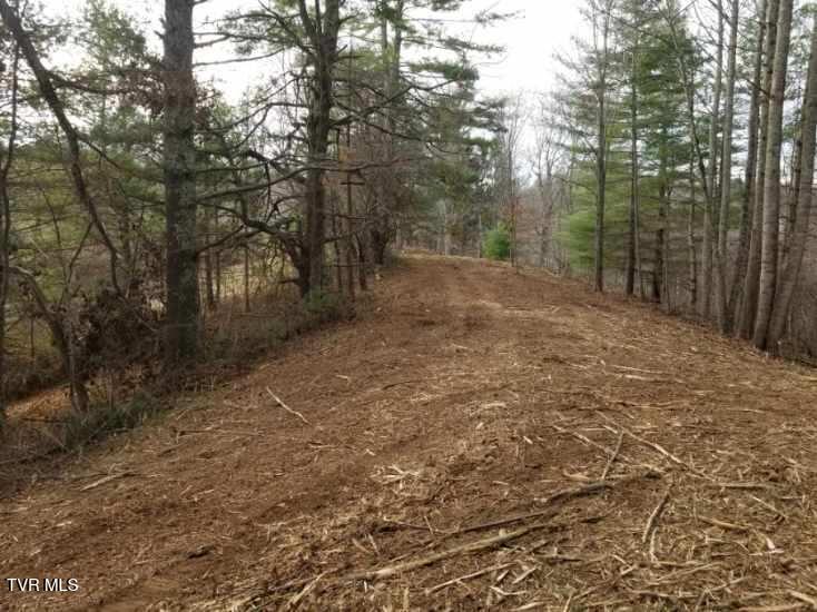 Photo #9: Tbd Bear Branch Road