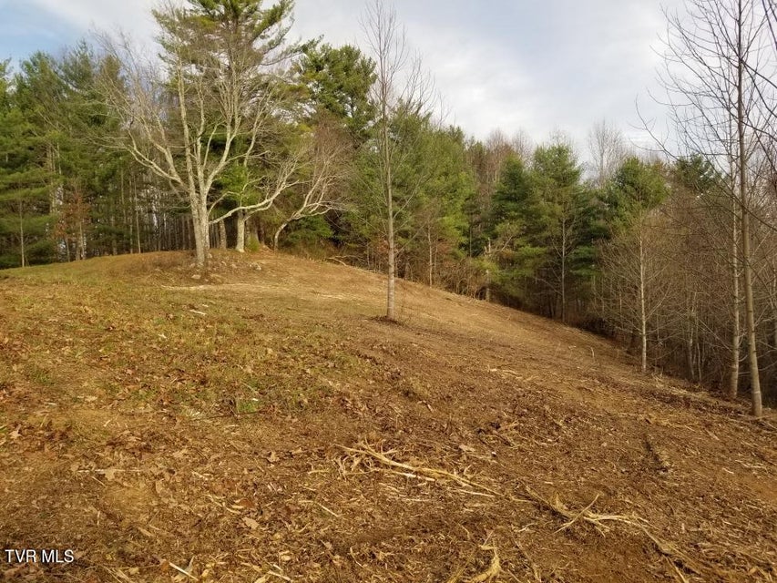 Photo #11: Tbd Bear Branch Road