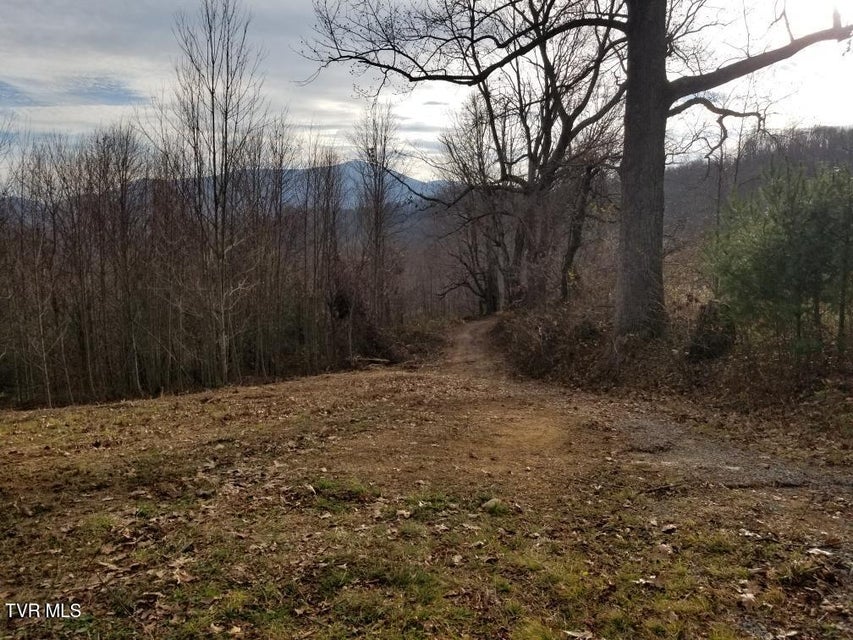 Photo #12: Tbd Bear Branch Road