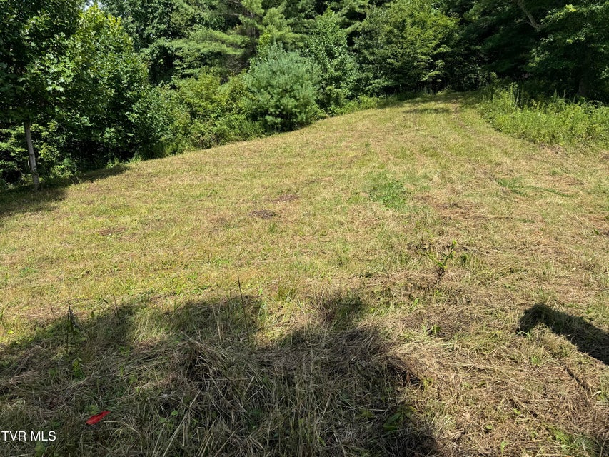 Photo #13: Tbd Bear Branch Road