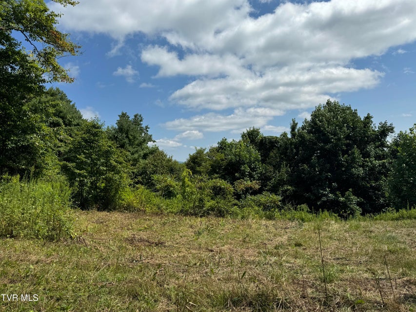 Photo #15: Tbd Bear Branch Road