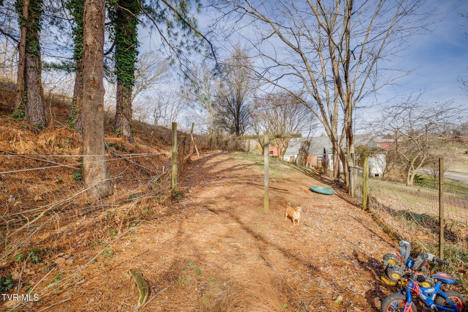 Photo #29: 220 Treadway Trail