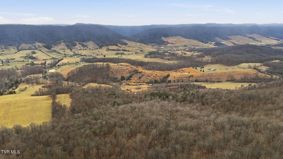 Photo #9: 238 Black Locust Road