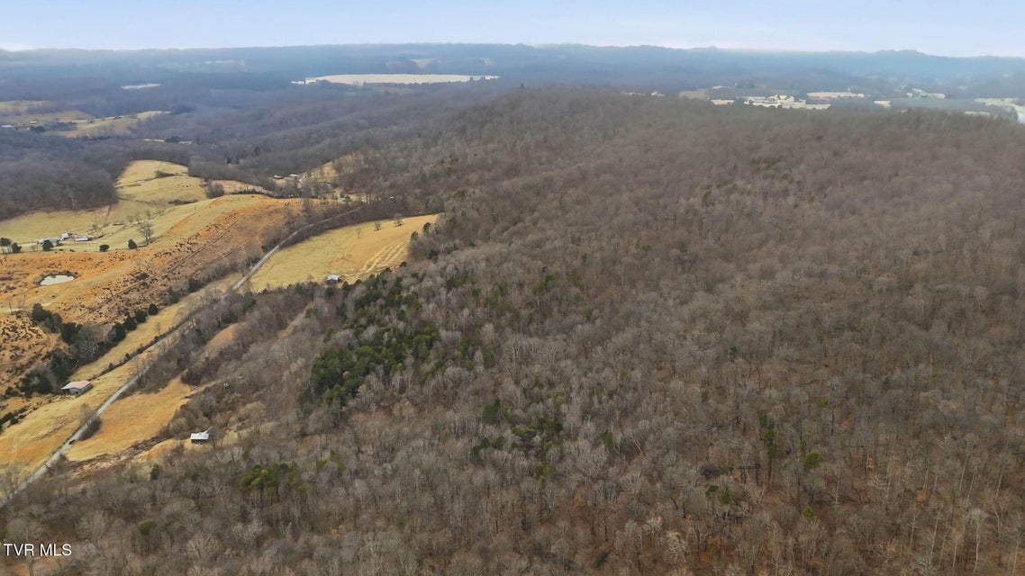 Photo #11: 238 Black Locust Road