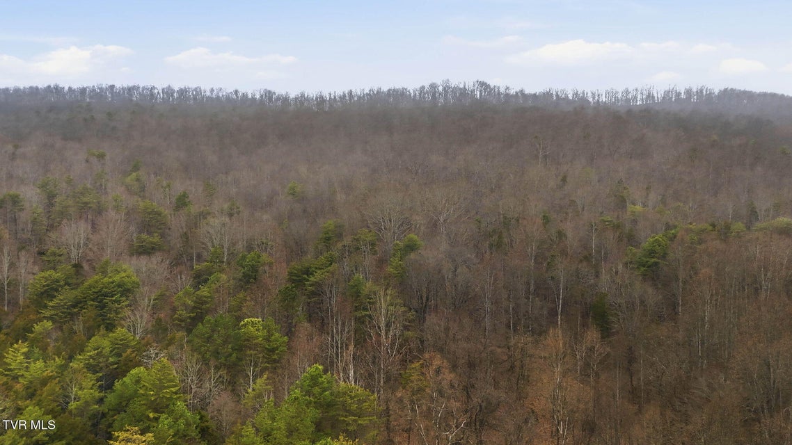 Photo #12: 238 Black Locust Road