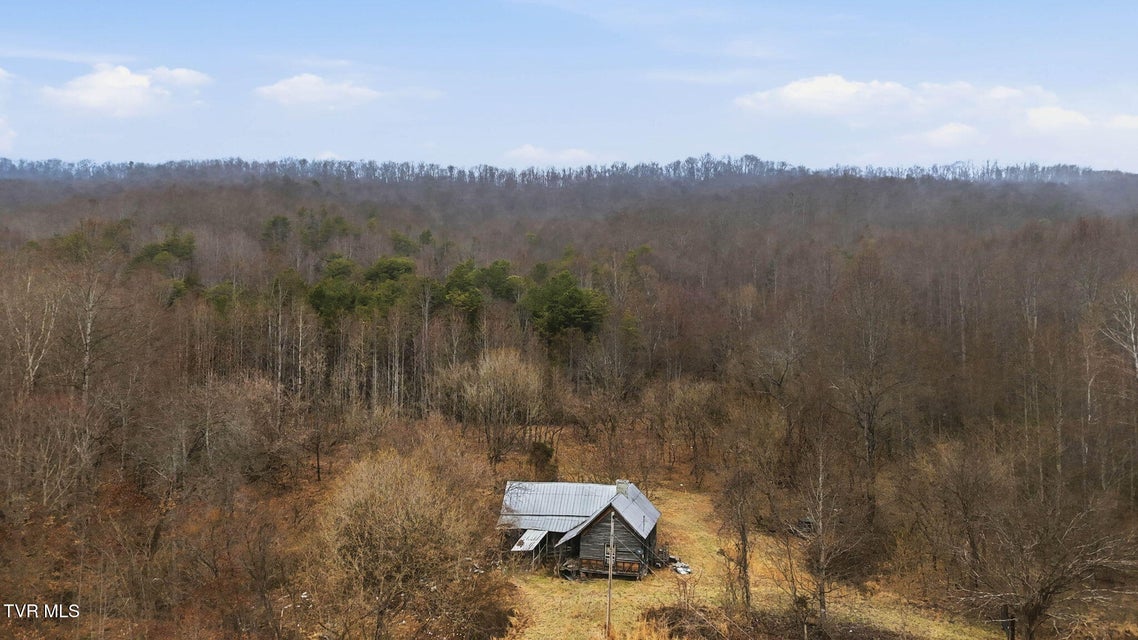 Photo #13: 238 Black Locust Road