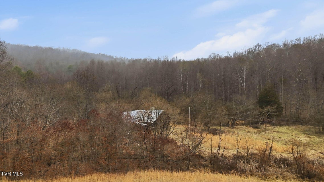 Photo #14: 238 Black Locust Road