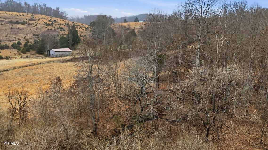 Photo #15: 238 Black Locust Road