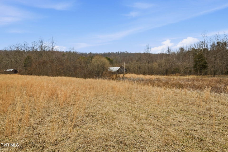 Photo #16: 238 Black Locust Road