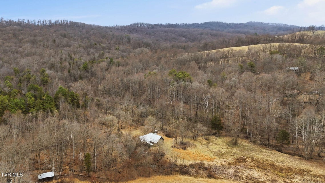 Photo #18: 238 Black Locust Road