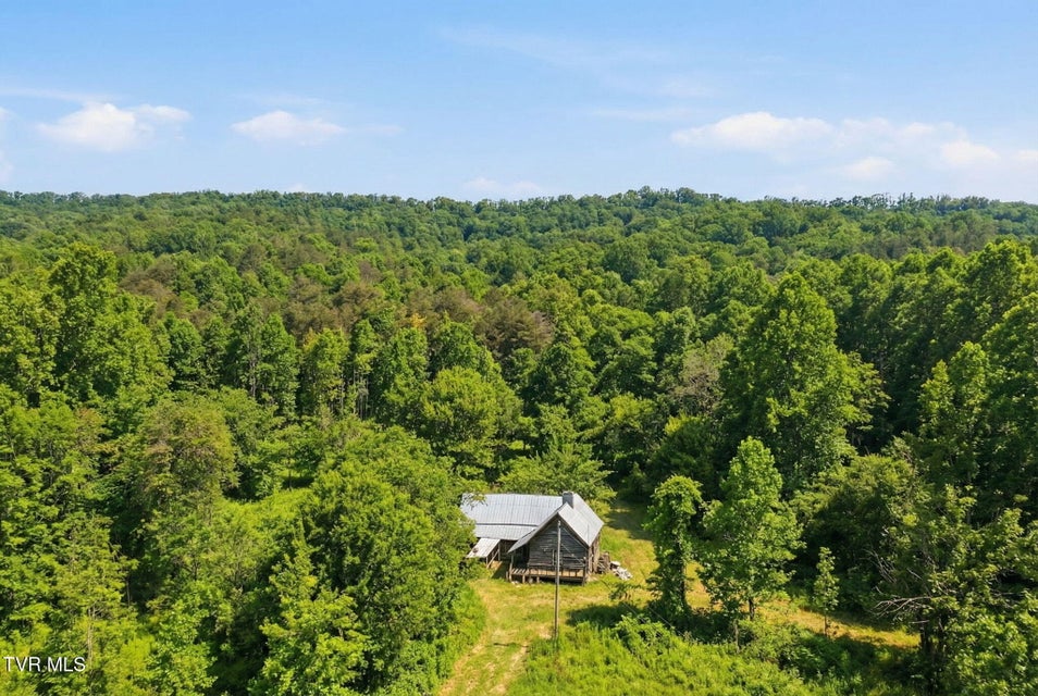 Photo #6: 238 Black Locust Road