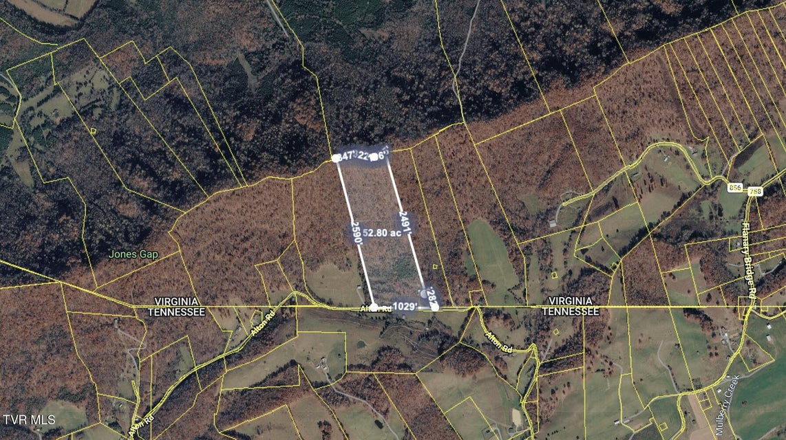 Photo #22: 238 Black Locust Road