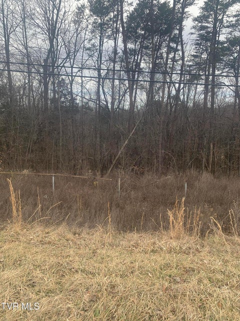 Photo #4: Tbd Kingsport Hwy 
