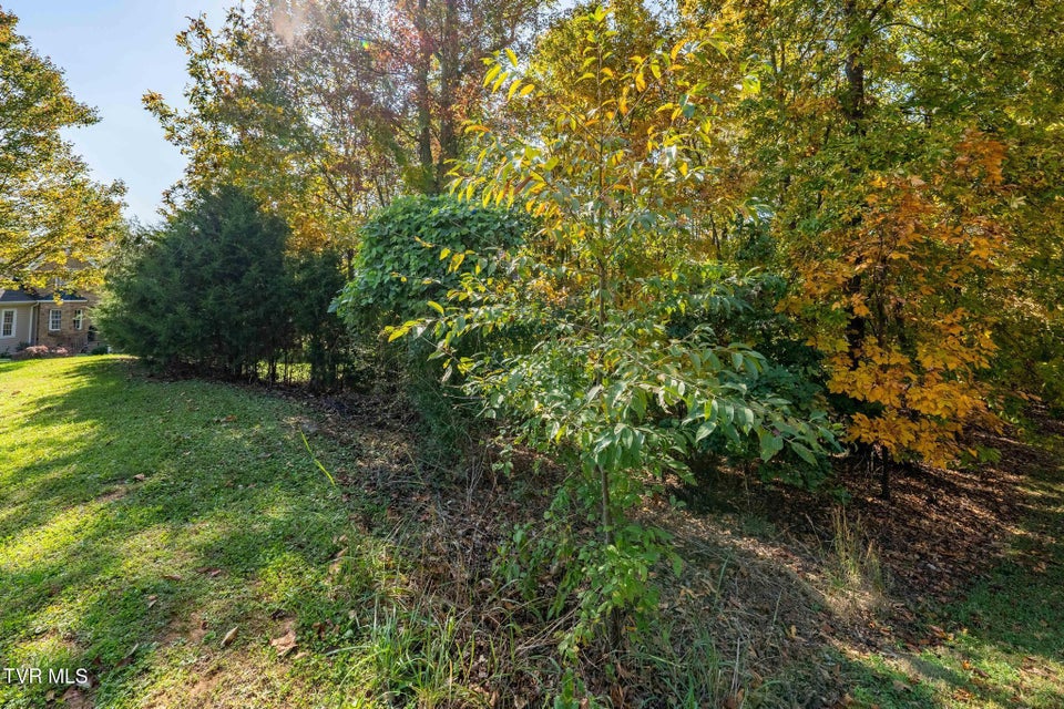 Photo #8: 109 Lookout Court