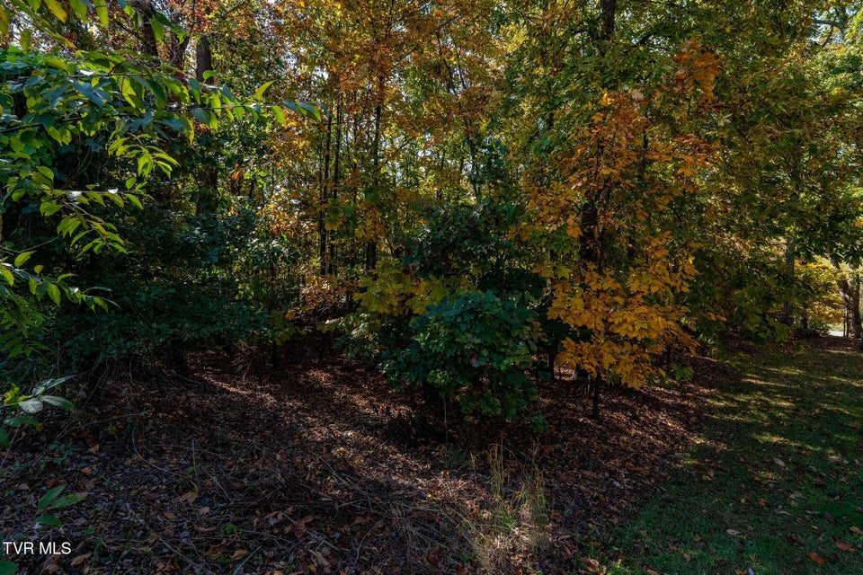 Photo #9: 109 Lookout Court