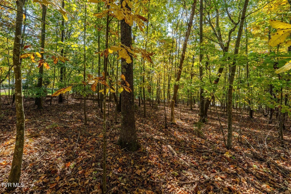 Photo #10: 109 Lookout Court