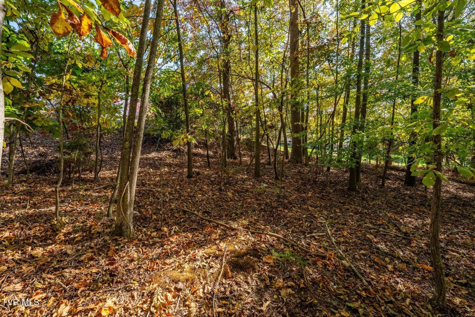 Photo #11: 109 Lookout Court