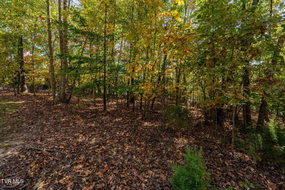 Photo #13: 109 Lookout Court