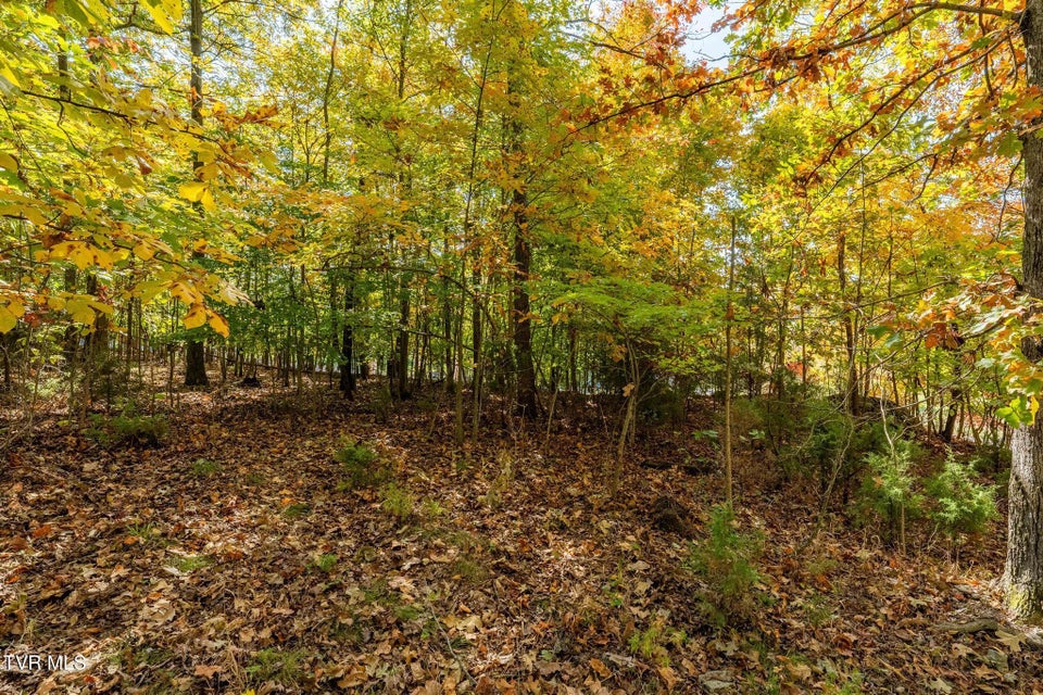 Photo #14: 109 Lookout Court