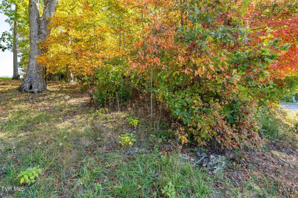 Photo #16: 109 Lookout Court