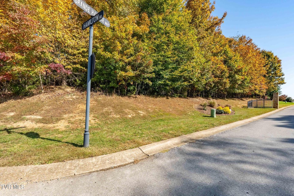 Photo #17: 109 Lookout Court