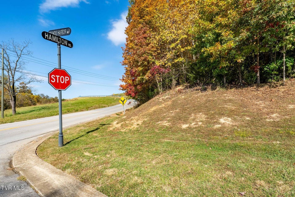 Photo #18: 109 Lookout Court