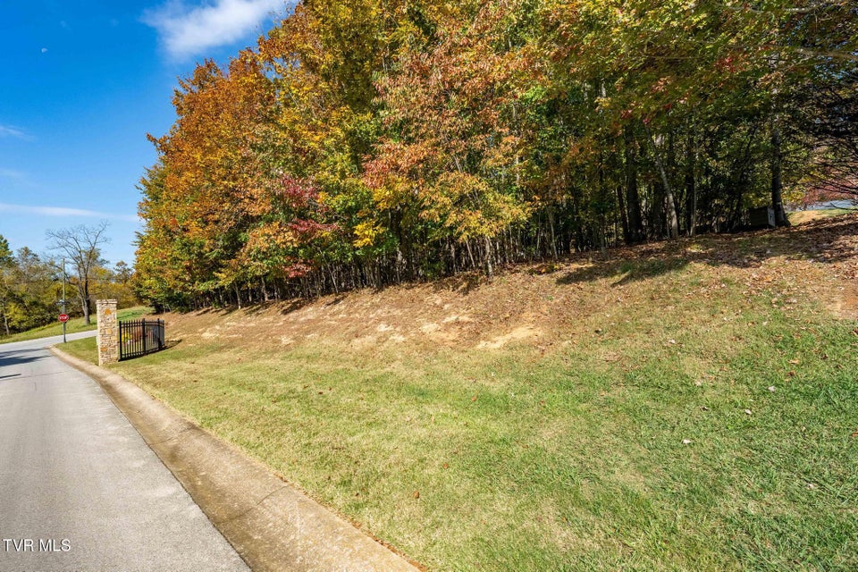 Photo #19: 109 Lookout Court