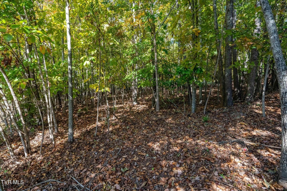 Photo #20: 109 Lookout Court