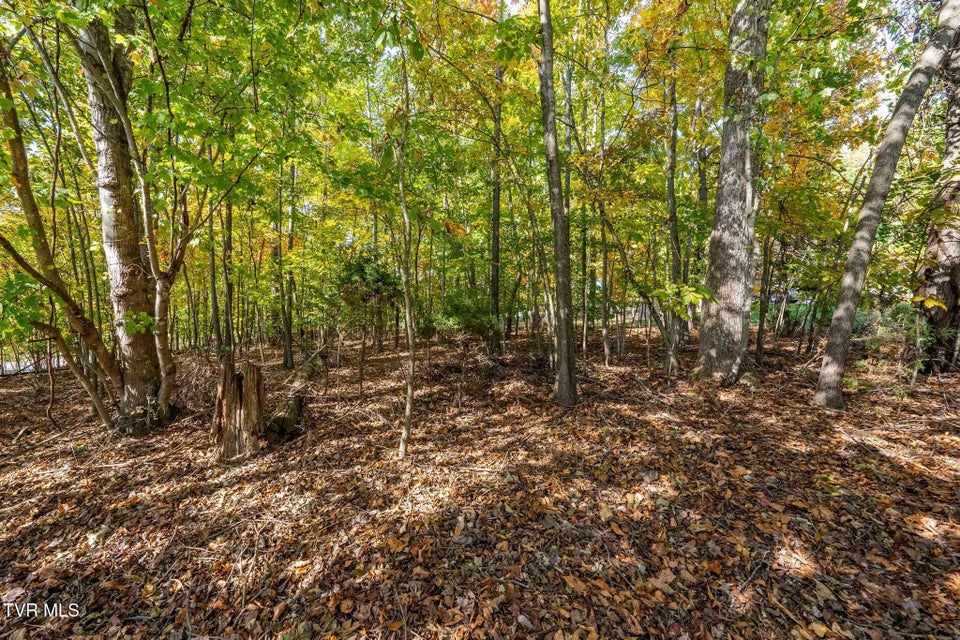 Photo #21: 109 Lookout Court