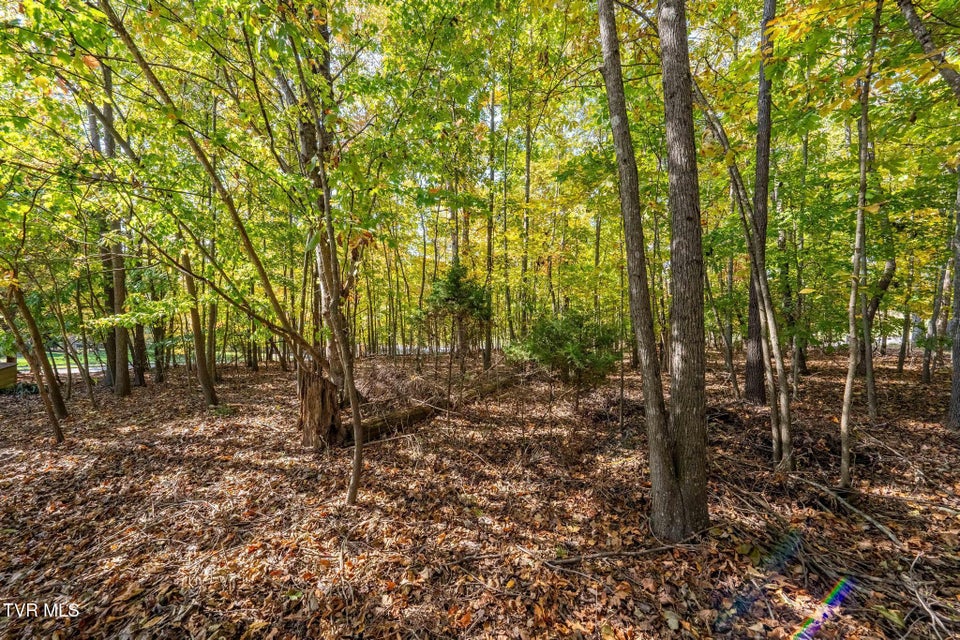 Photo #22: 109 Lookout Court