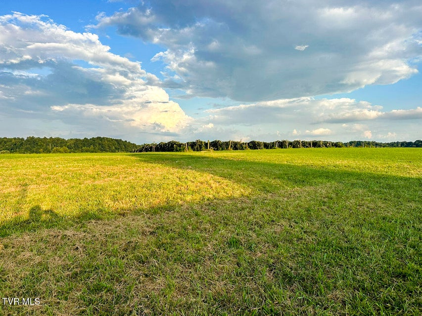 Photo #6: 1515 River Path Path