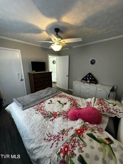 Photo #27: 574 Bailey Street