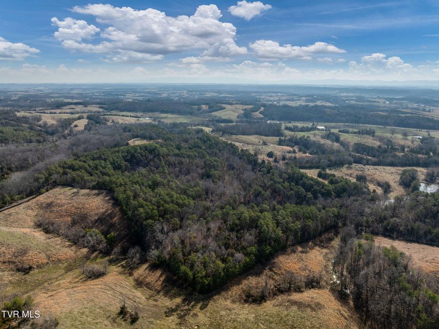 Photo #7: Tbd Democrat Road