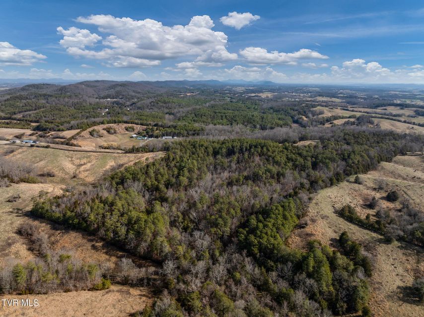 Photo #9: Tbd Democrat Road