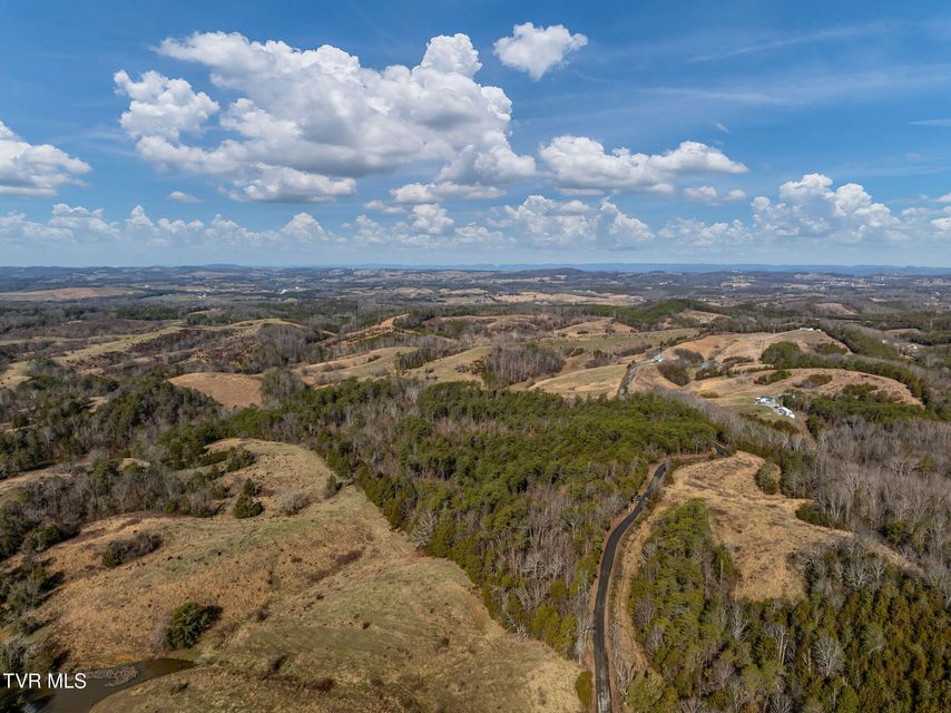 Photo #11: Tbd Democrat Road