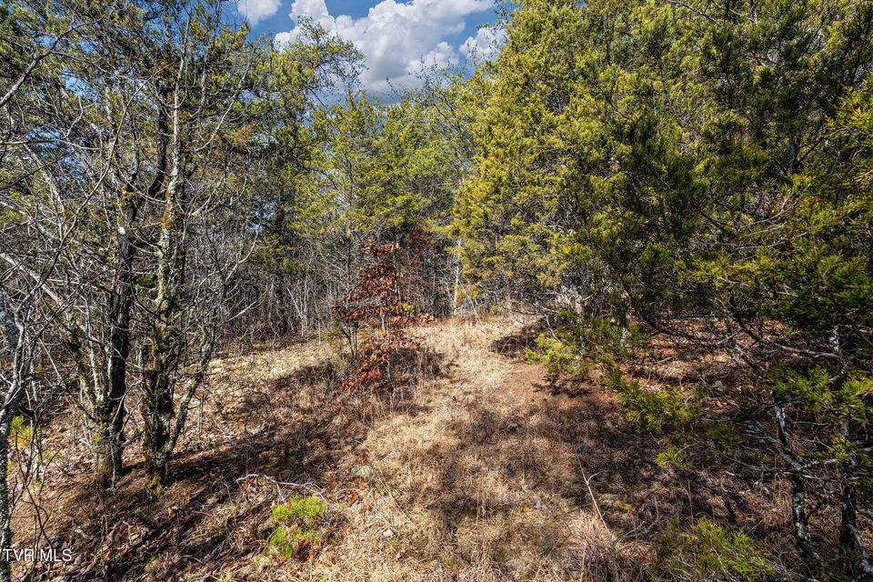 Photo #15: Tbd Democrat Road