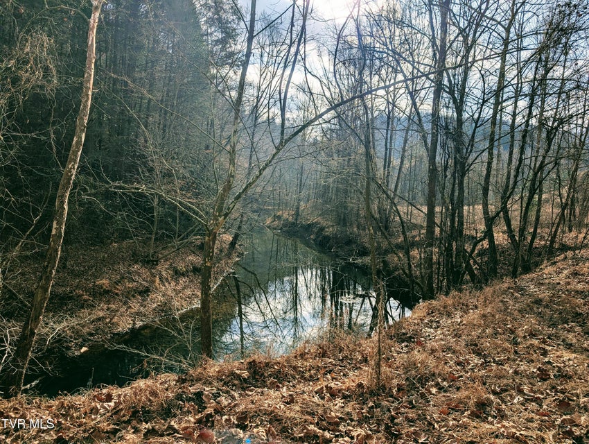 Photo #5: Tbd Rockhouse Road