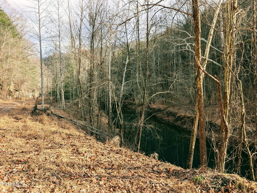 Photo #6: Tbd Rockhouse Road