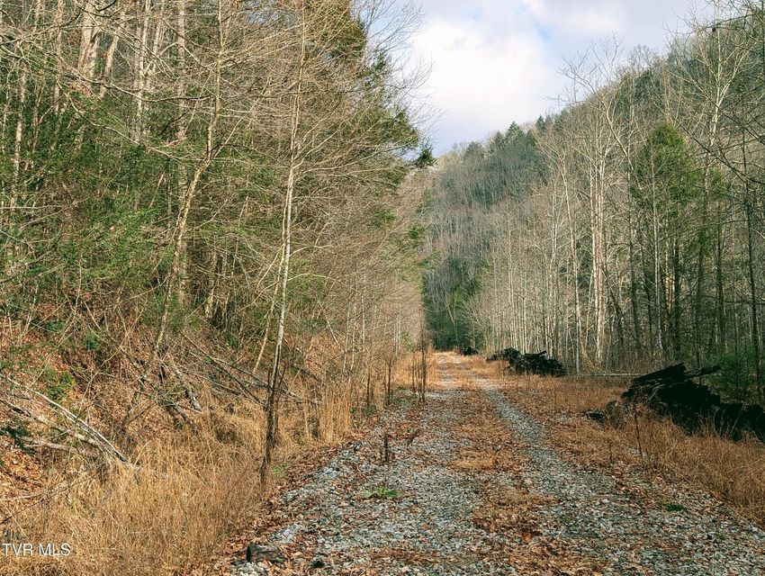 Photo #8: Tbd Rockhouse Road