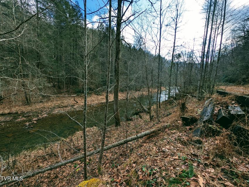 Photo #10: Tbd Rockhouse Road