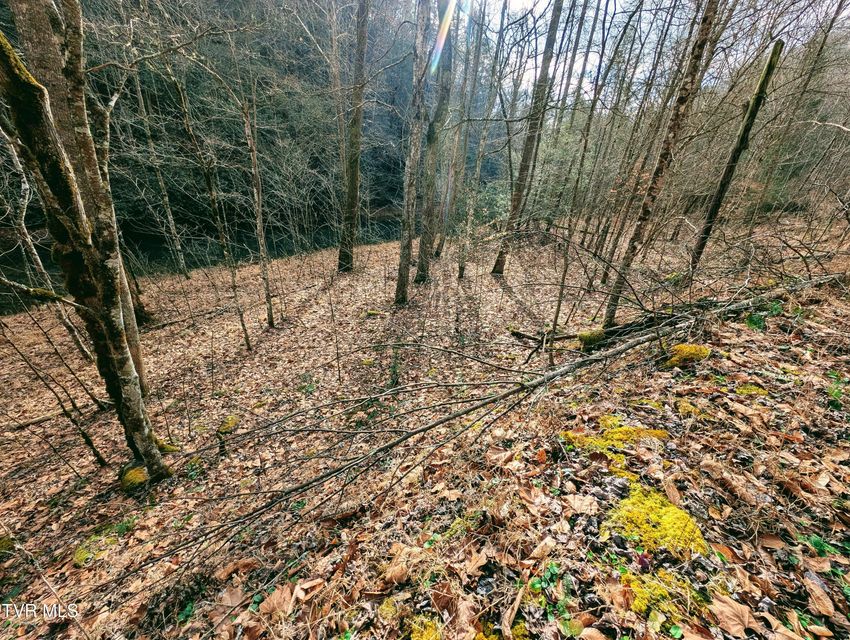 Photo #13: Tbd Rockhouse Road