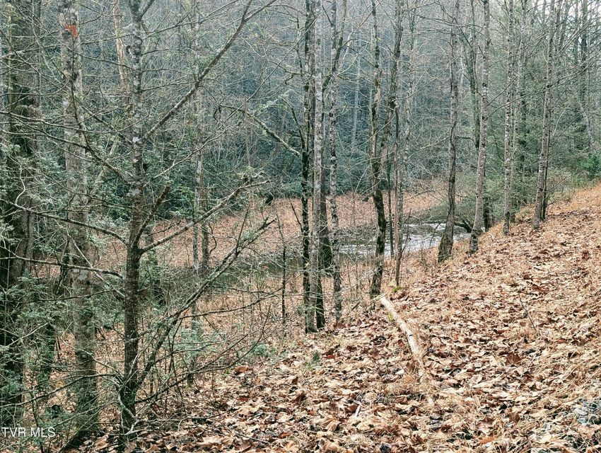 Photo #17: Tbd Rockhouse Road