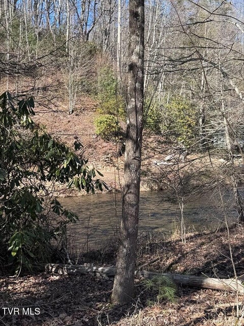 Photo #9: 232 Konnarock Road