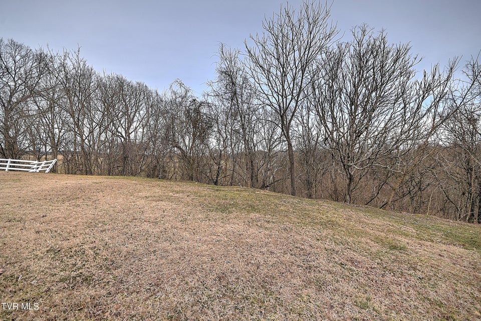 Photo #39: 2009 Idle Hour Road