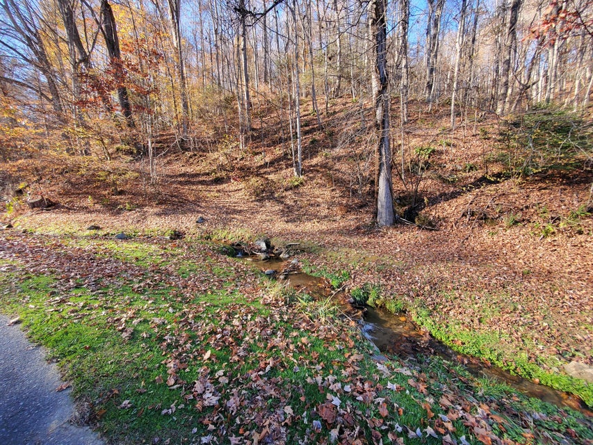 Photo #4: 00 Ingram Branch Road