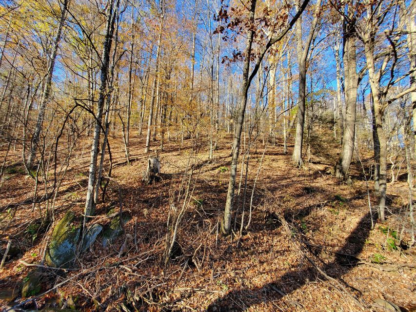 Photo #8: 00 Ingram Branch Road