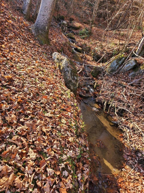 Photo #11: 00 Ingram Branch Road